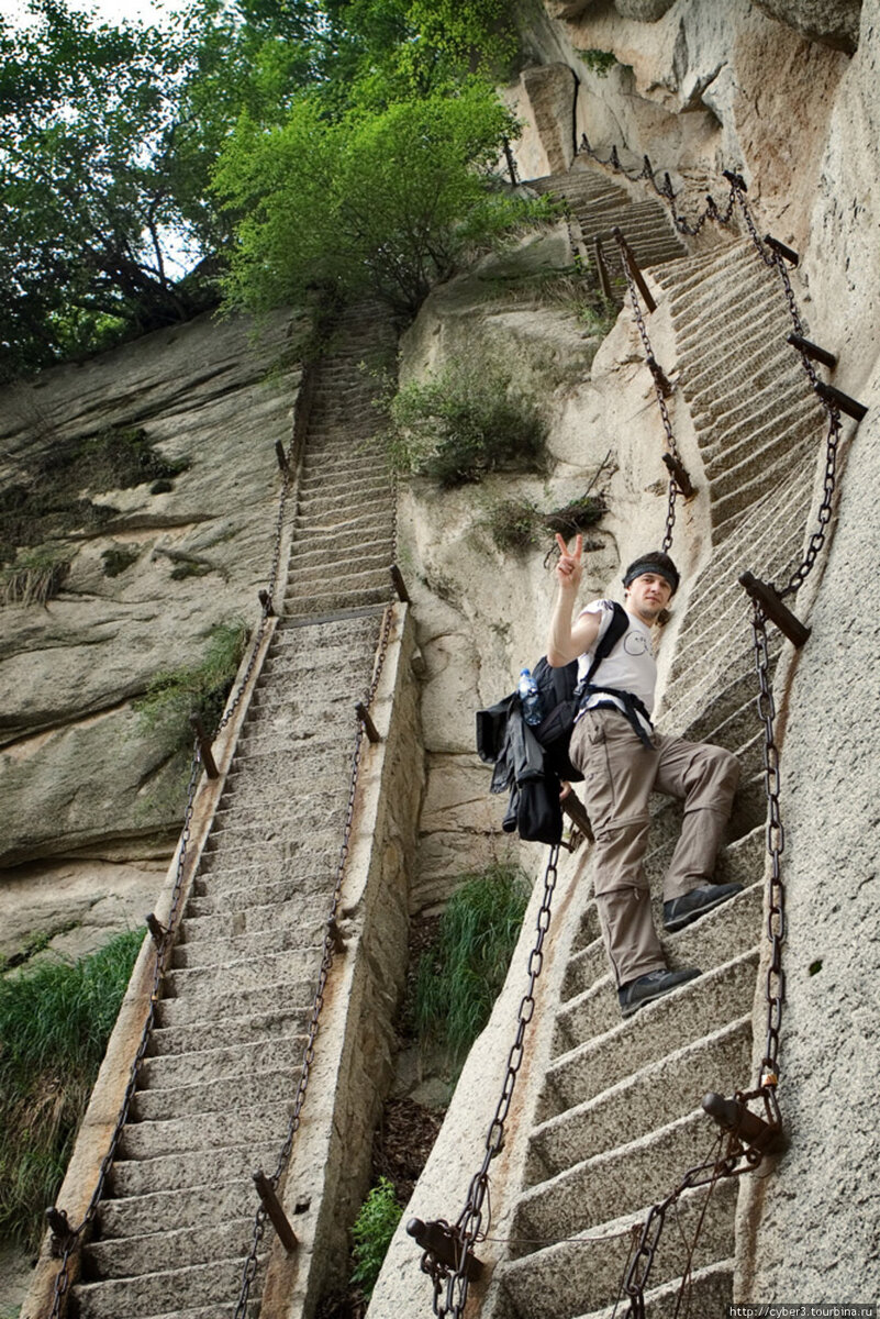 True Palisade Climber лестница