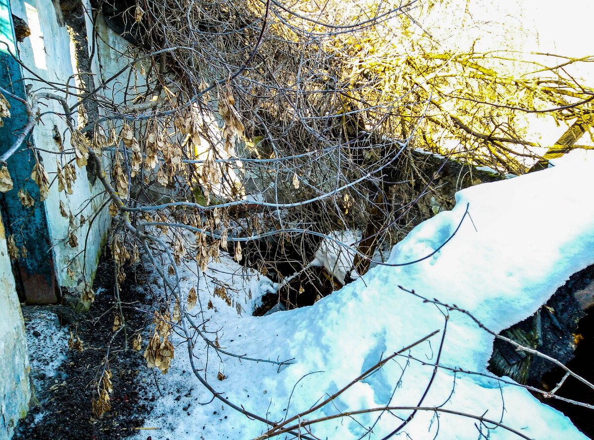 Чуть не провалился в глубокий погреб. Покинутые дома в полностью  заброшенной деревне | Прекрасное рядом | Дзен