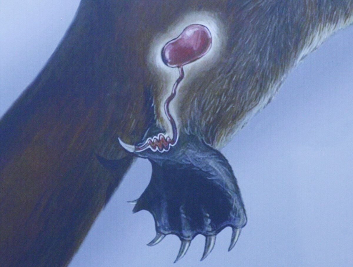 Источник фото: https://mayak-parnasa.livejournal.com