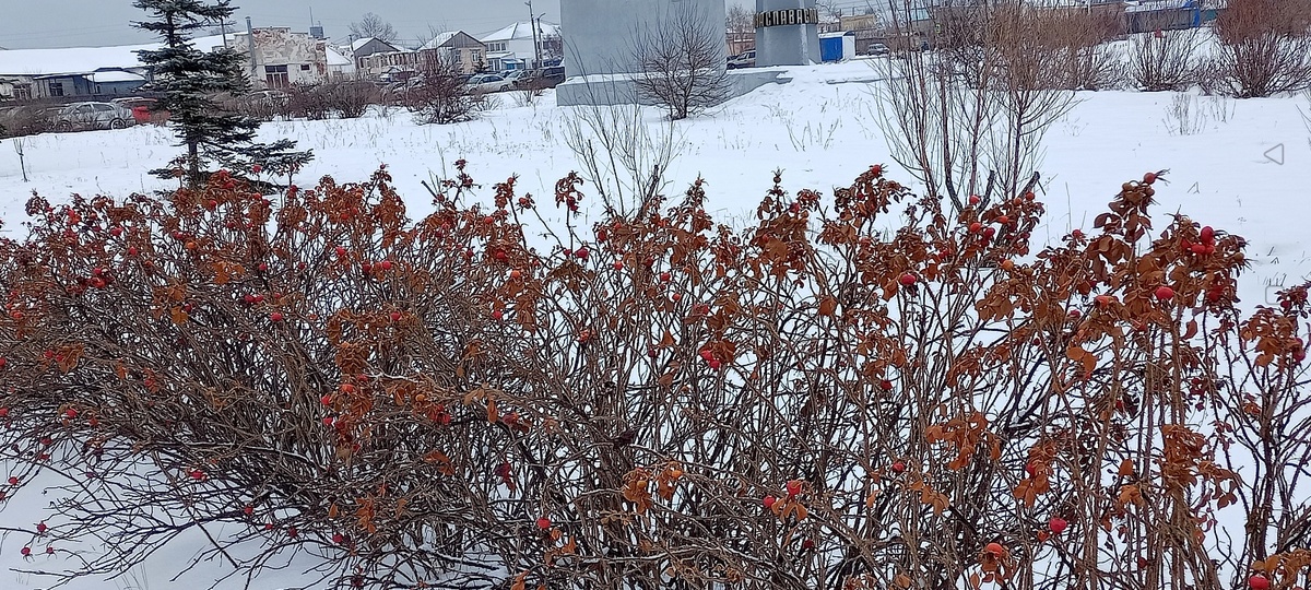 (Личное фото автора)