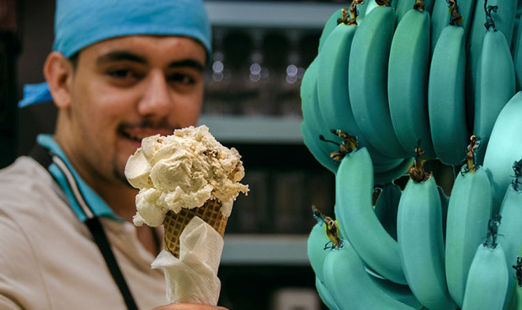 Внутри голубых бананов – мягкая паста, по вкусу напоминающая ванильное мороженное