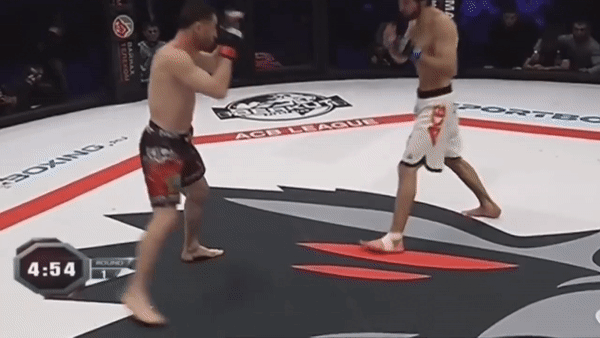 Шейх-Магомед Арапханов, Забит Магомедшарипов, боец мма, ufc