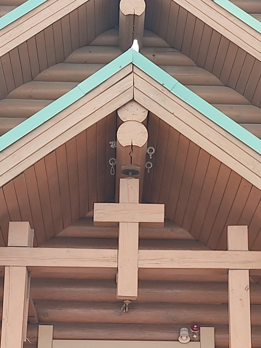 Голубю здесь понравилось :)