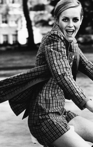 Твигги. Фото: Яндекс. Картинки