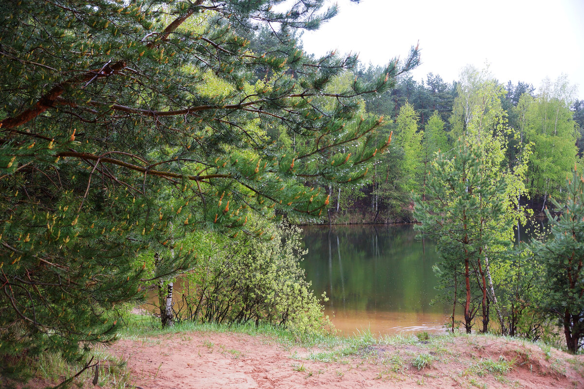 Озеро Прусовское (ЯрБайкал), Ярославская область