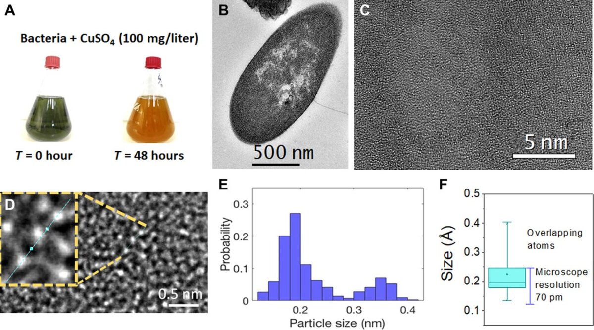  Синтез атома Cu и ПЭМ-характеристика. advances.sciencemag.org