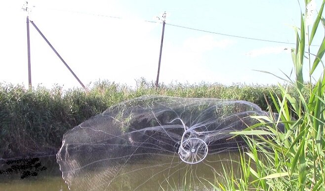 Заброс кастинговой сетки