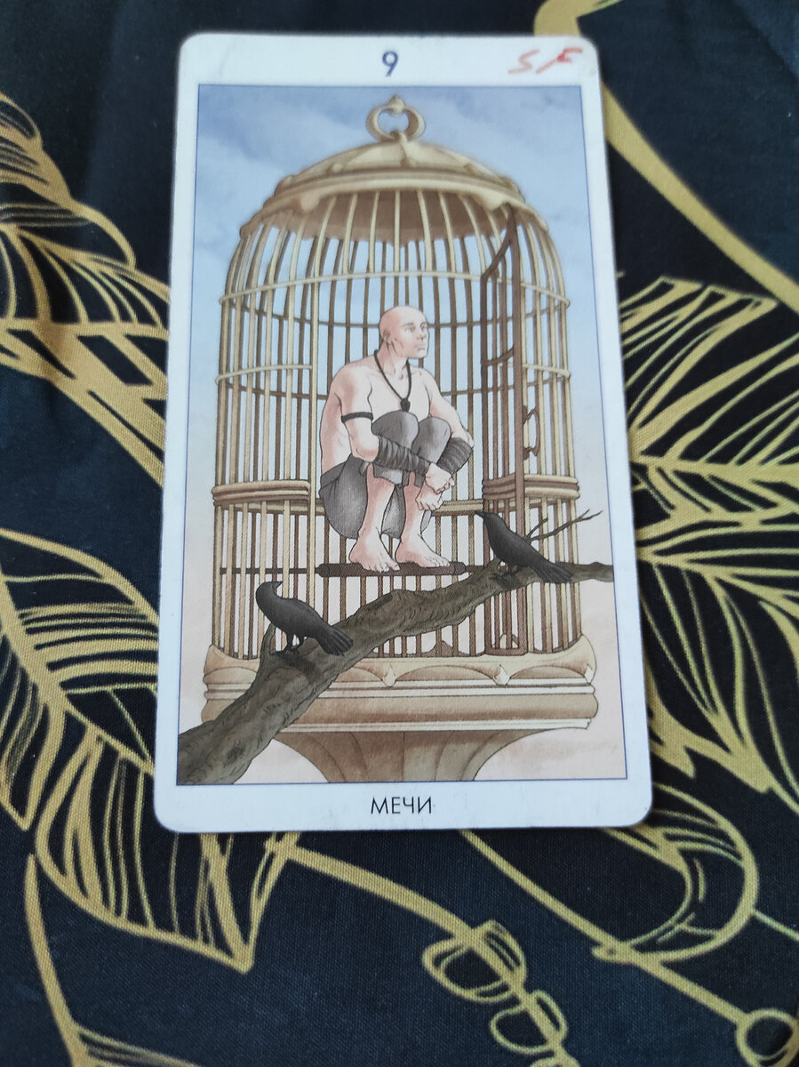 Первый вариант. Вашу проблему вполне можно решить, но для этого нужно выйти из зоны комфорта. Перестать вести привычный образ жизни.  Перестать бояться. Взять ответственность за свою жизнь на себя самого. Это сложно, но нужно.