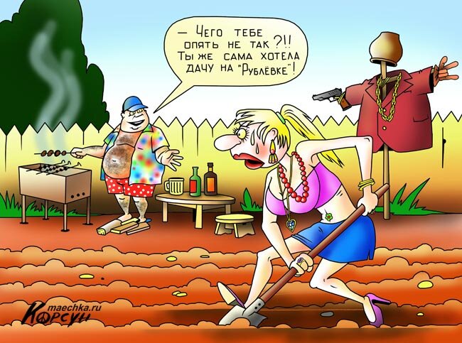 фото из интернета