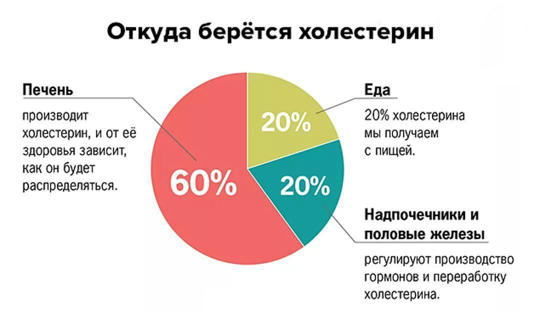 Повышение холестерина и щитовидка