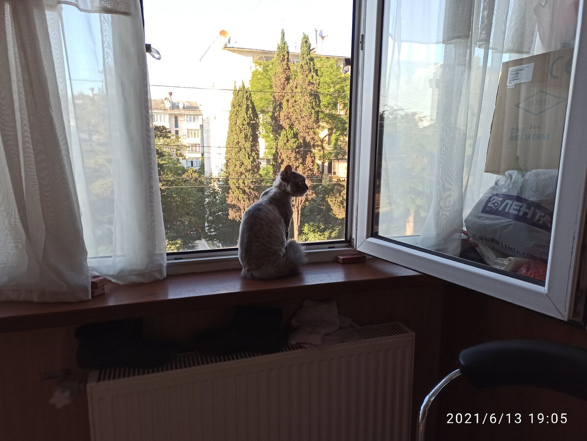 Маняха на окне