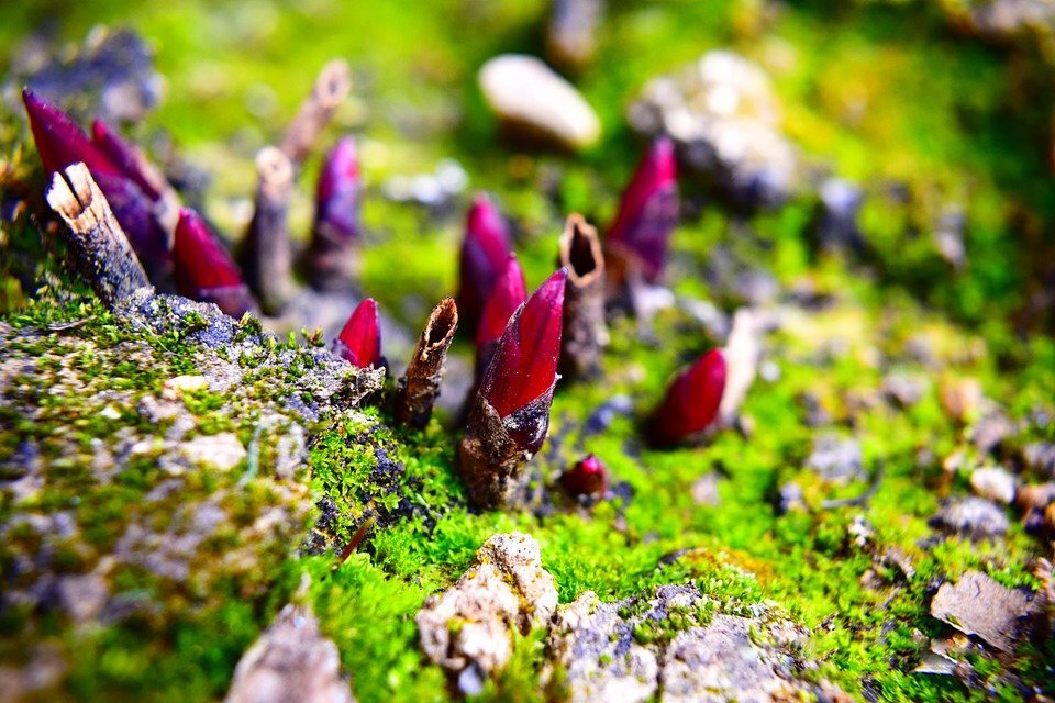 фото взято из открытых источников