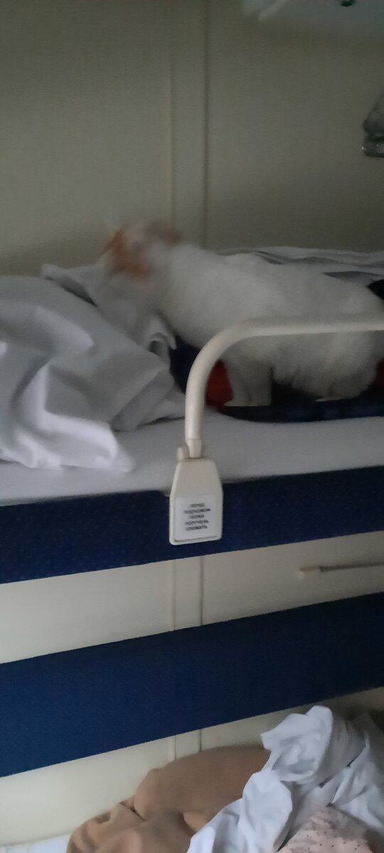 Вот поэтому фото и смазанное