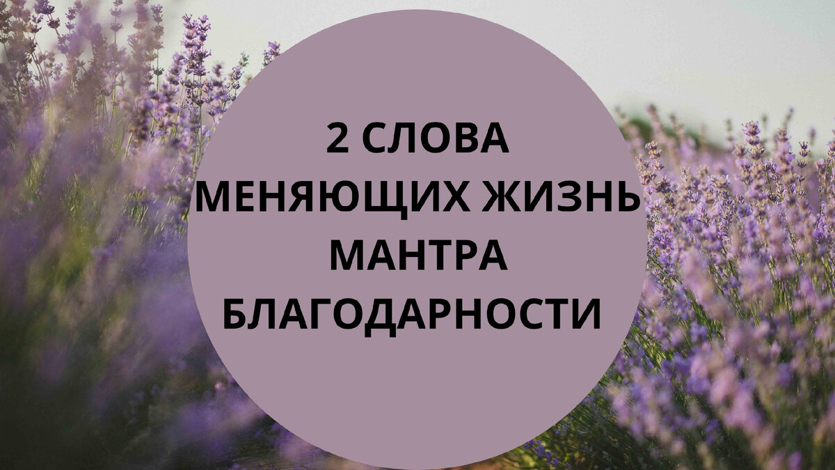 2 слова, меняющих жизнь. Мантра благодарности и принятия | Астролог Мария  Кузьменко | Дзен