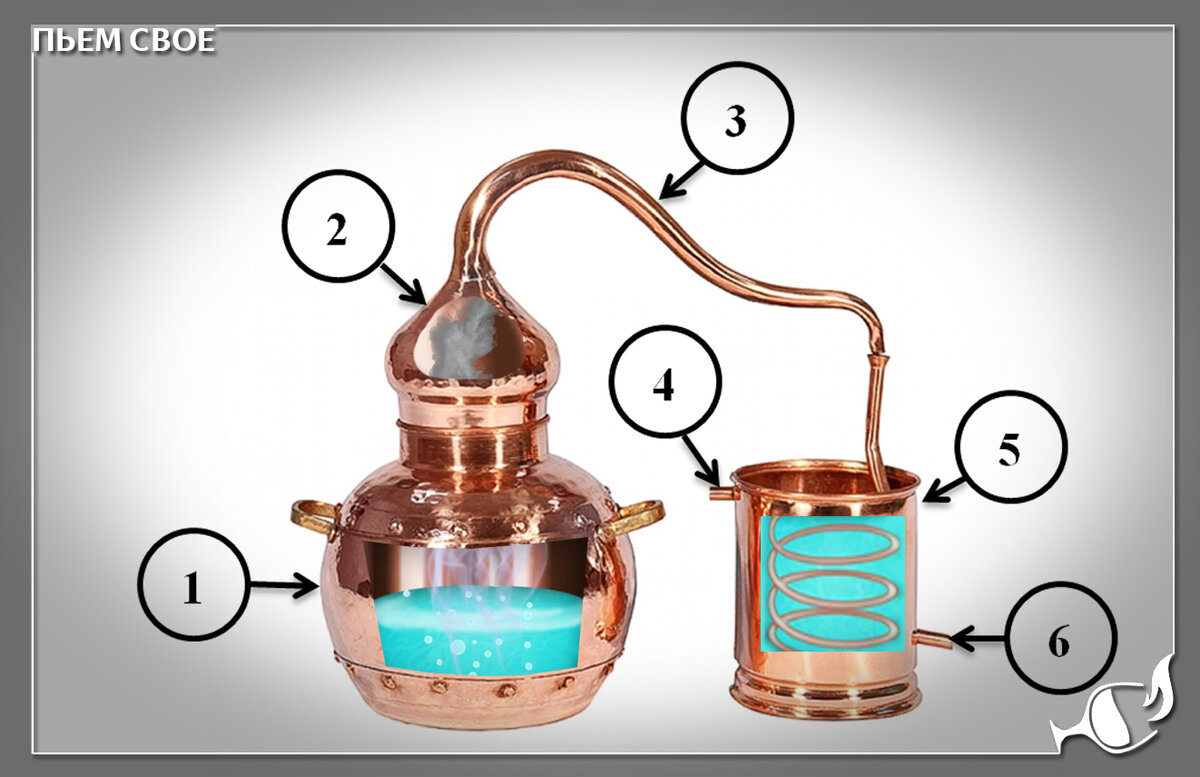 1 - брага нагревается; 2 - пары поднимаются вверх; 3 - проходят по пароотводной трубке; 4 - в холодильник подаётся холодная вода, которая охлаждает пары; 5 - в змеевике пары конденсируются; 6 - сконденсированная жидкость выходит в мир