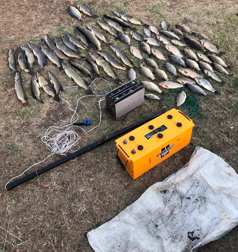 электроудочка купить на алиэкспресс цена - YouTube