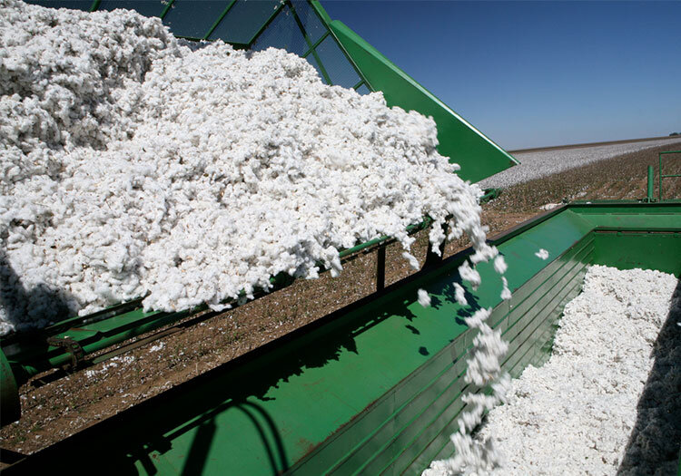  Теперь хлопок может отталкивать воду и масло, а также держаться на воде даже при нагрузке, многократно превышающей его собственный вес. Фото с сайта ecotextile.com.