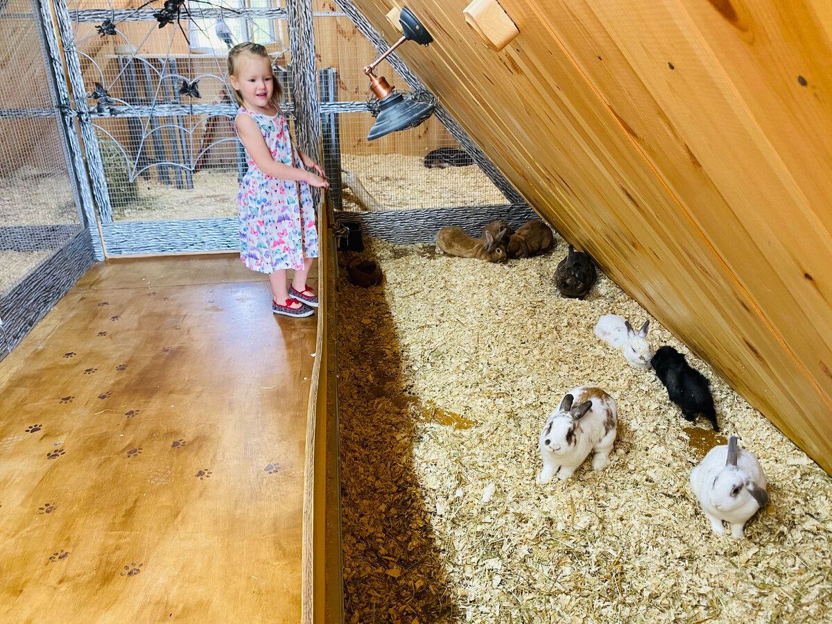 А эти ребята - просто милота! 