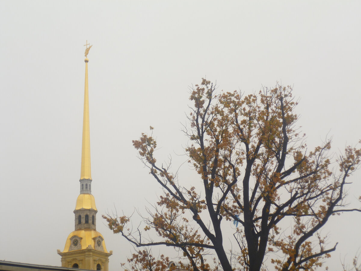 Петропавловка. Ноябрь