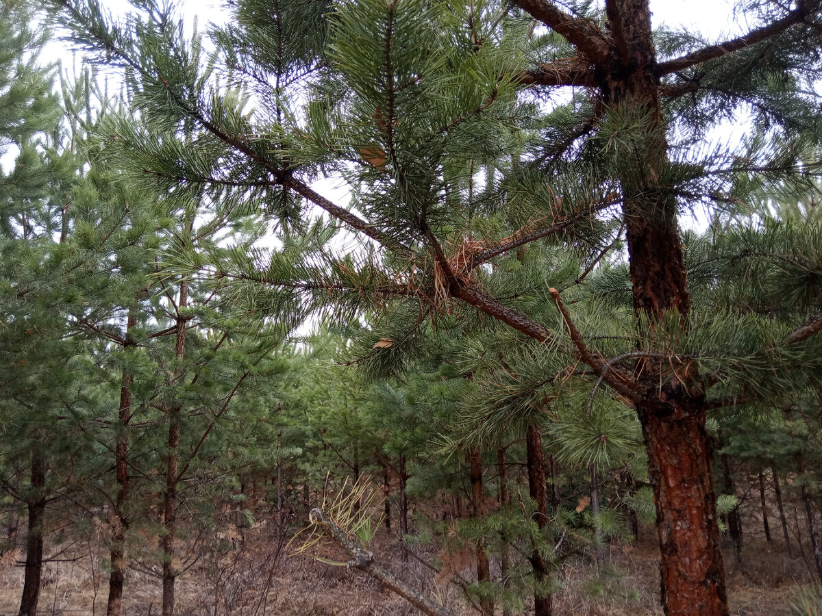 Фотография из личного архива автора