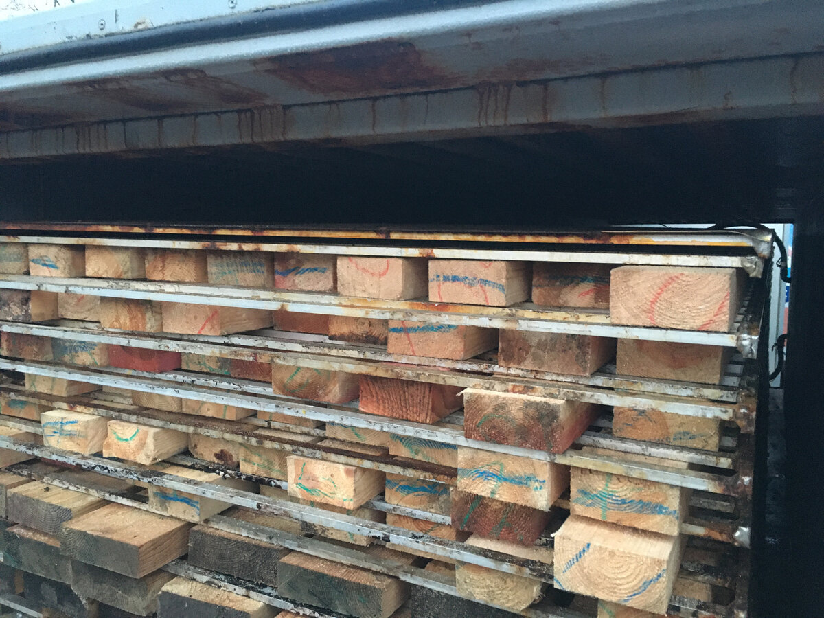 Лиственница в камере