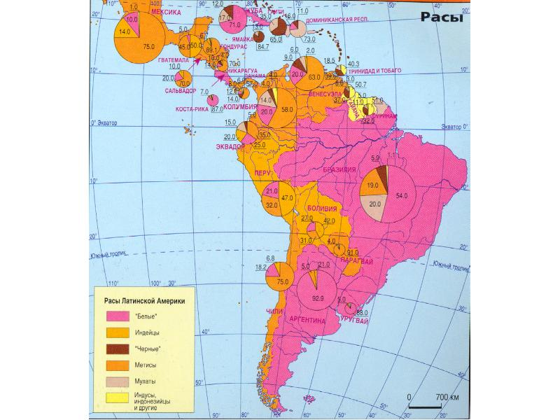 Промышленная специализация города рио де жанейро. Плотность населения Латинской Америки карта. Этнический состав Латинской Америки карта. Сельское хозяйство Латинской Америки карта. Население Латинской Америки карта.