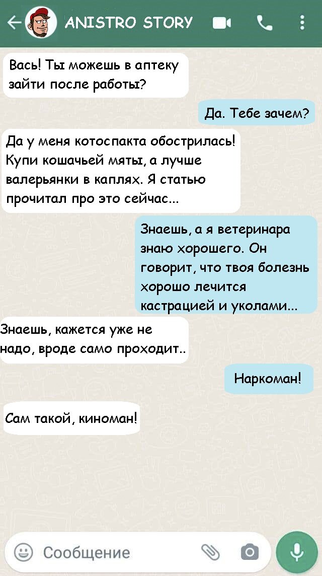Валерьянка кошкам не игрушка!