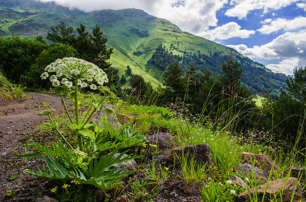 Фото Ю. Шевченко