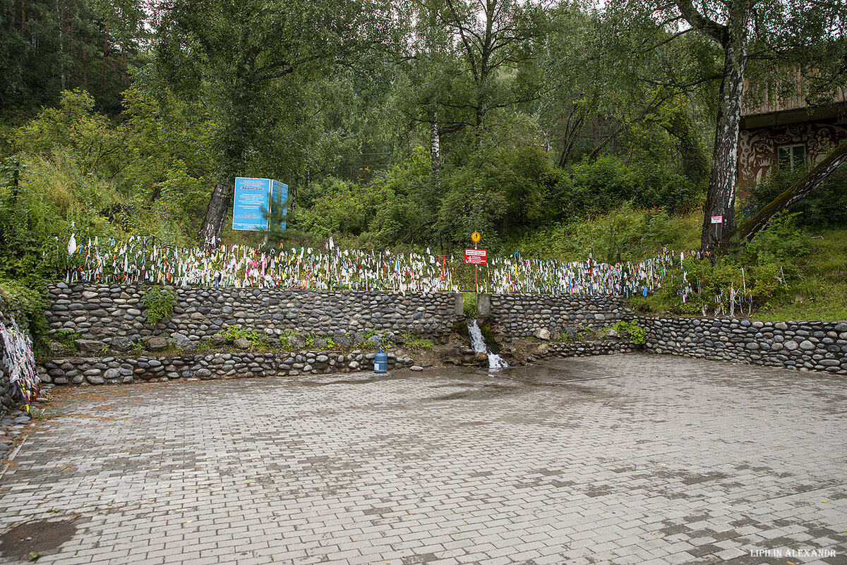 01 Вода источника гидрокабонатно-кальциево-магниевая с содержанием серебра (так называемая «живая вода») и двухвалентного железа («мёртвая вода»), содержание которого больше, чем в Ессентуки и Боржоми. Вода также содержит медь и марганец. Температура воды - 7-8 °C.