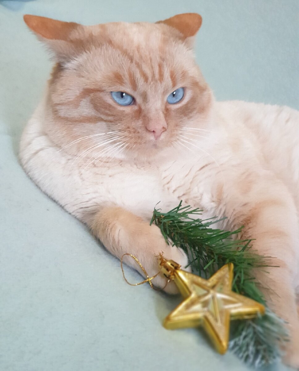 Санкт-Петербург и ЛО