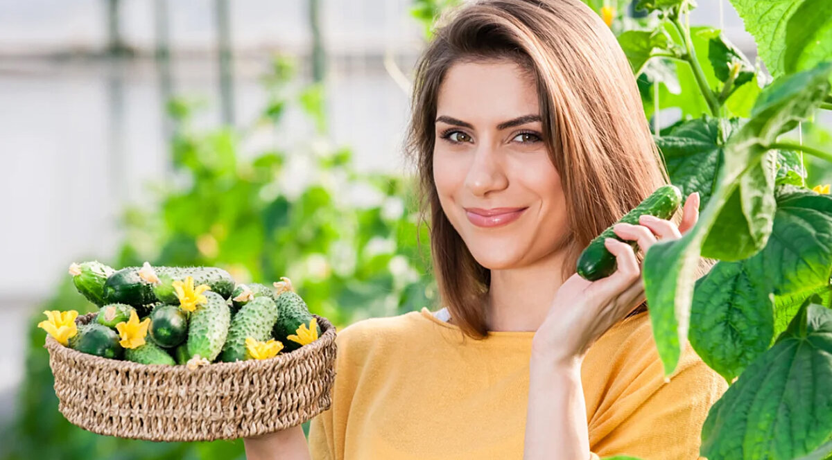 Изображение взято из Яндекс картинки