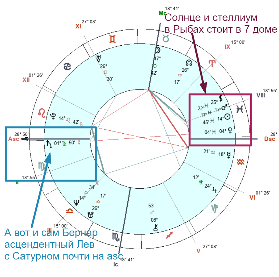 Бернар арно натальная карта