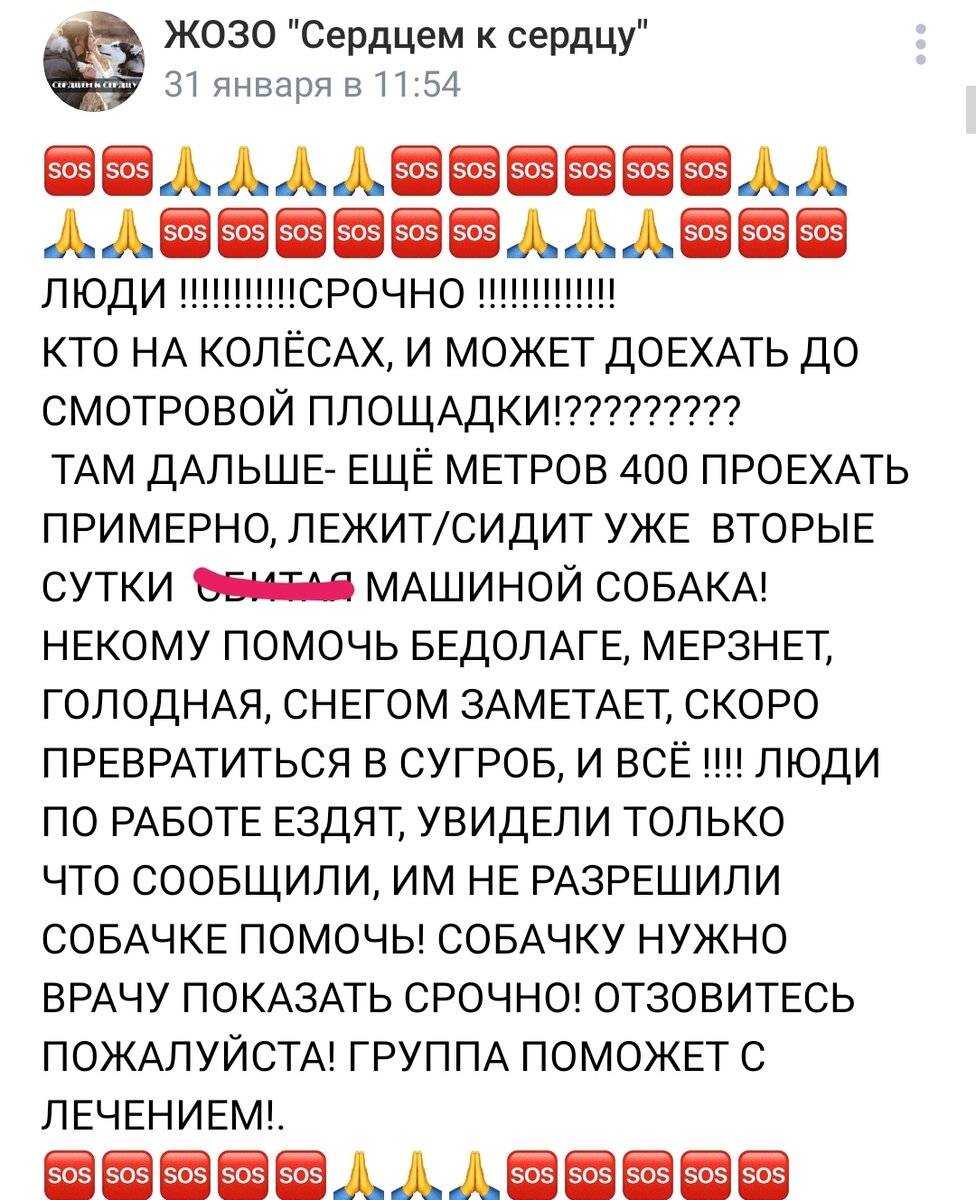 На этот пост откликнулся мужчина
