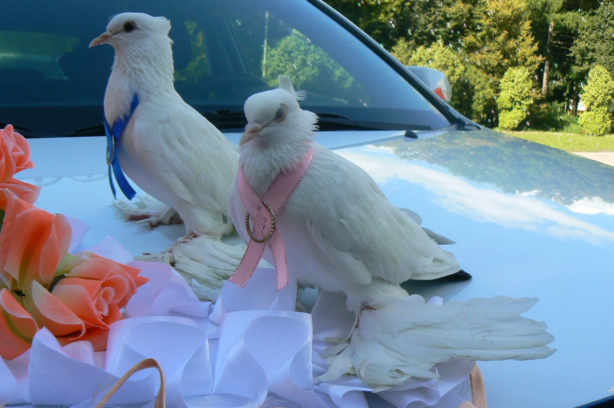 Саня, где мы?