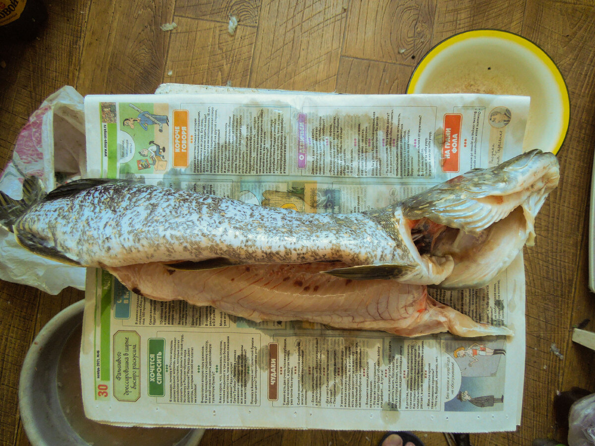 Готовлю щуку. 3 вкусных блюда из одной рыбы | За городской чертой | Дзен