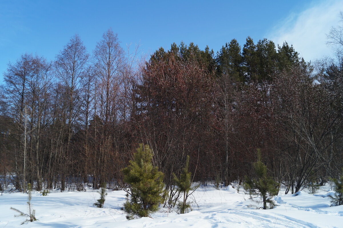 Фото Анастасии Петровой