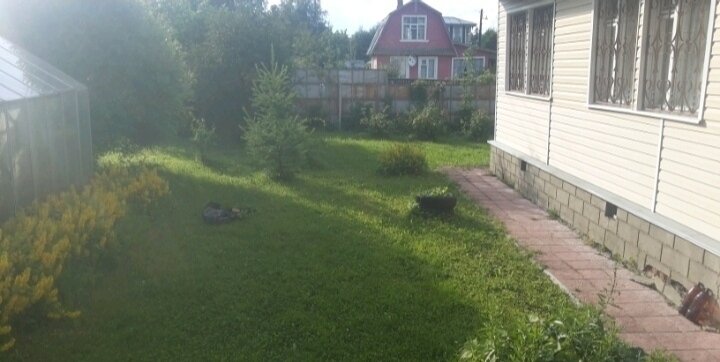 Та самая лужайка, на которой я умудрилась не найти мужа. 