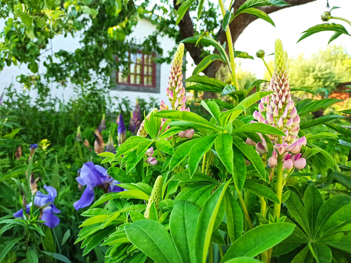 Фото автора. 