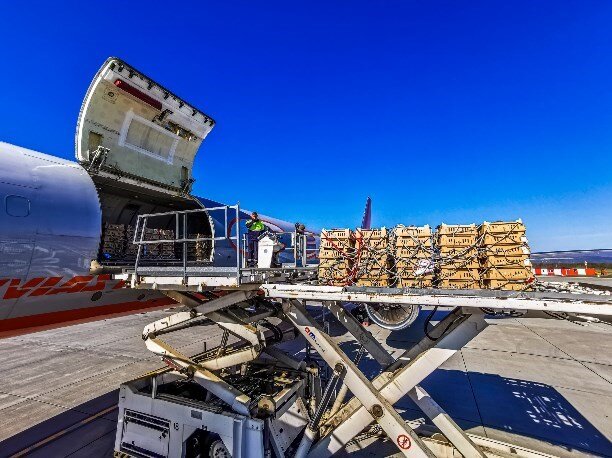 Источник фото: https://astv.ru/news/society/2022-05-25-sahalinec-detal-no-snyal-vysadku-neobychnyh-passazhirov-v-yuzhno-sahalinske#comments