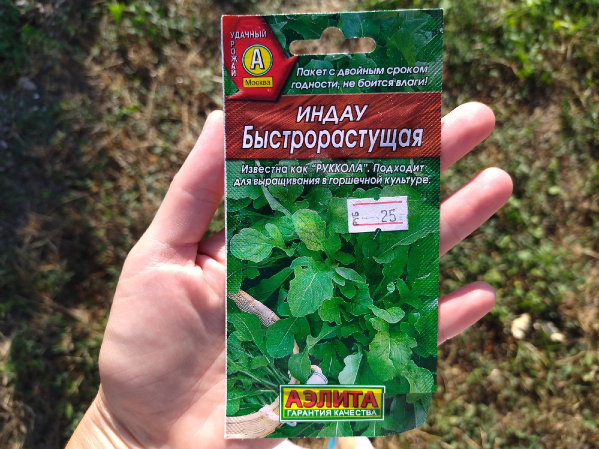 3 вкусных деликатесных сорняка, которые огородники выбрасывают по незнанию.  И это не какие-нибудь крапивы-одуванчики :) | Культурная флора | Дзен