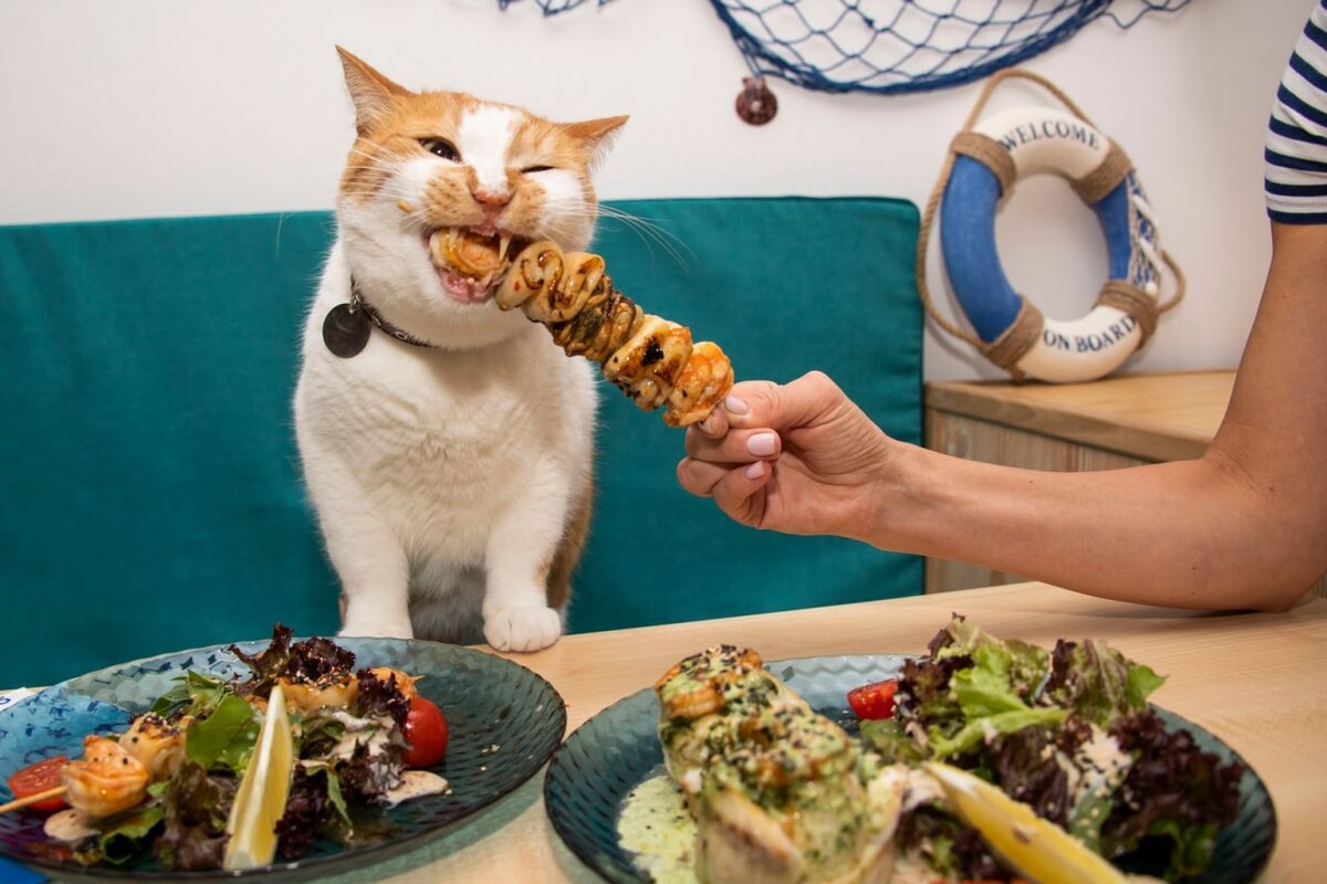 Держите меня семеро!  
