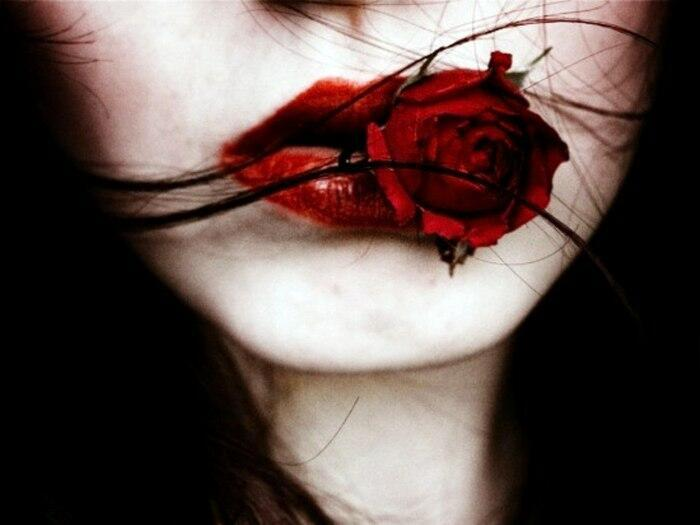 Яндекс картинки 