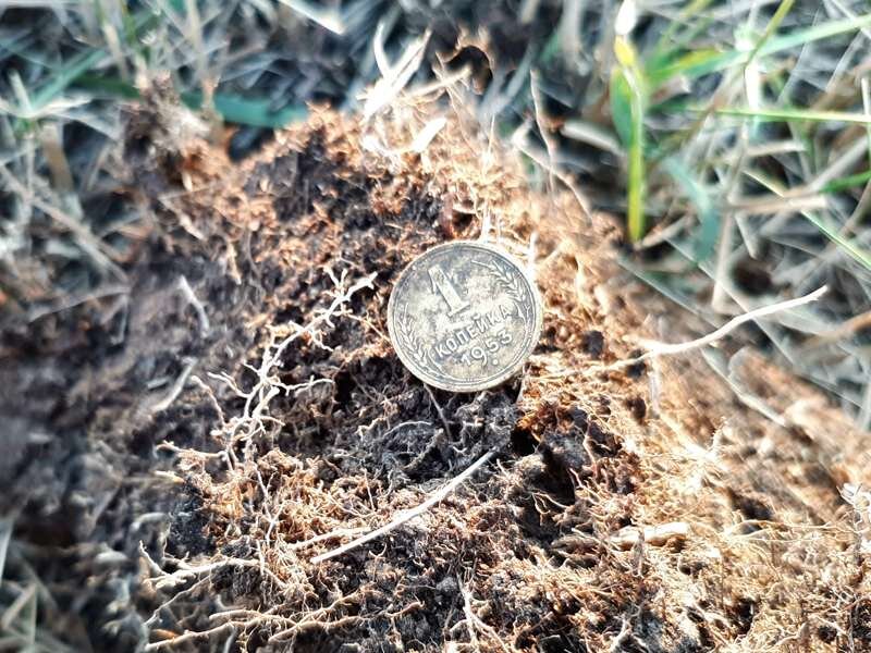 Первая монетная находка выпала примерно в первом десятке пробочных сигналов.