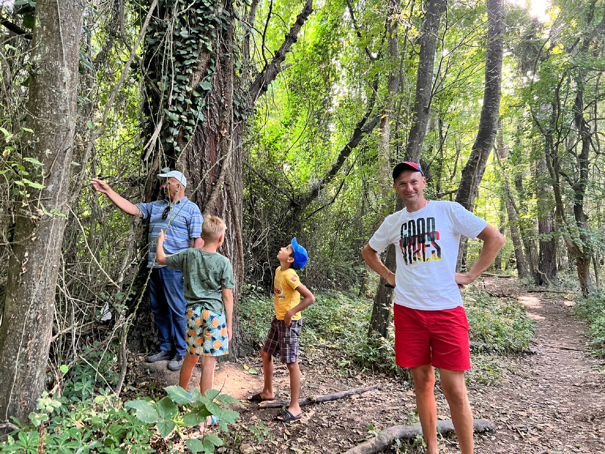 Все фото - автора. Самурский лес. Дагестан 