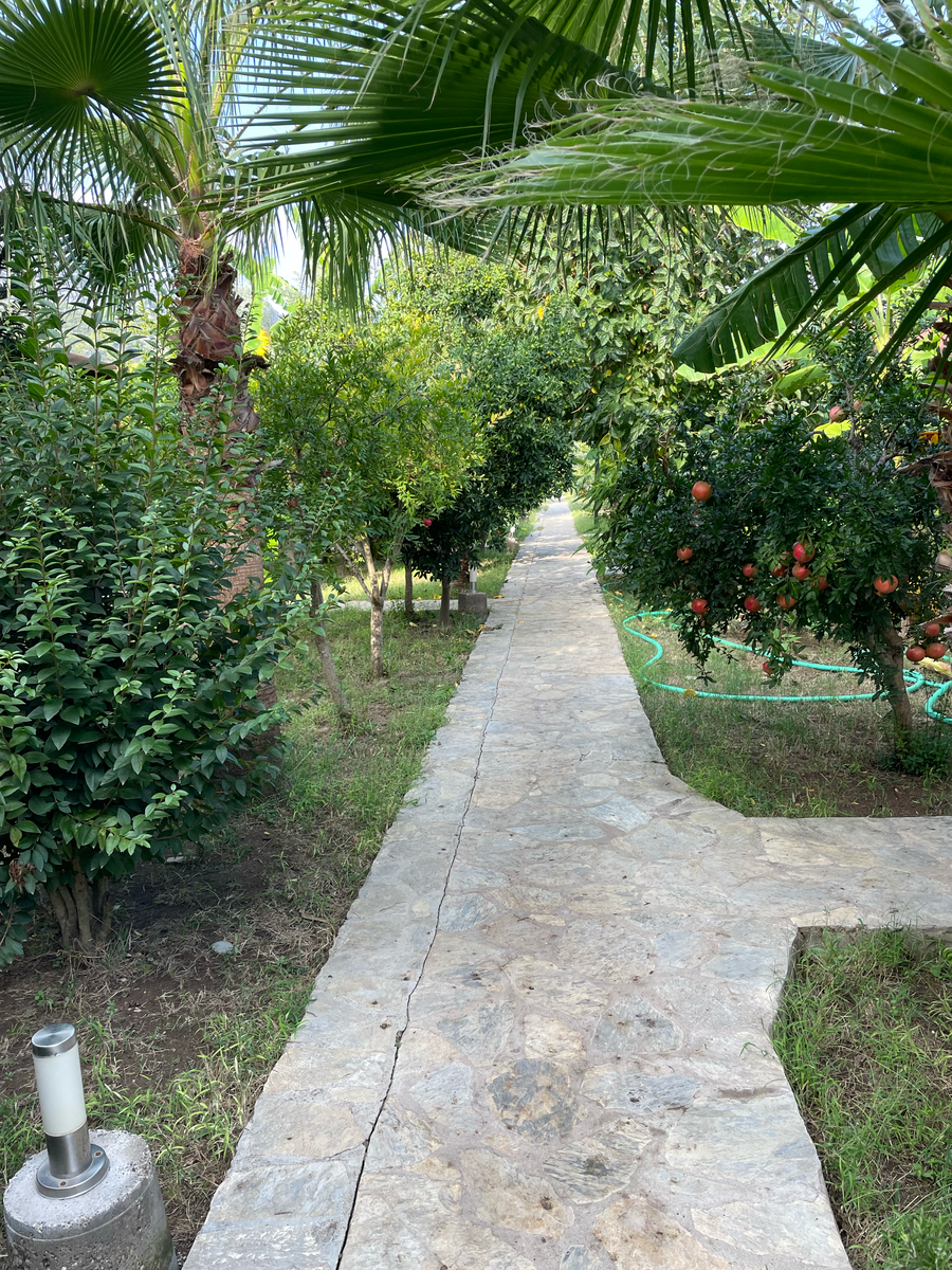 А потом проходишь к бунгало