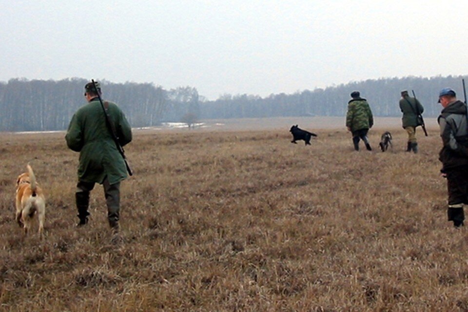     Происшествие случилось на территории охотничьего угодья. Владимир ВЕЛЕНГУРИН