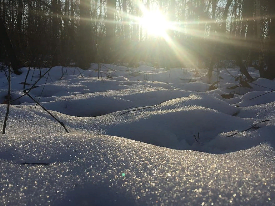 Фото с сайта oir.mobi (самой мне искрящийся снег так не сфотографировать).