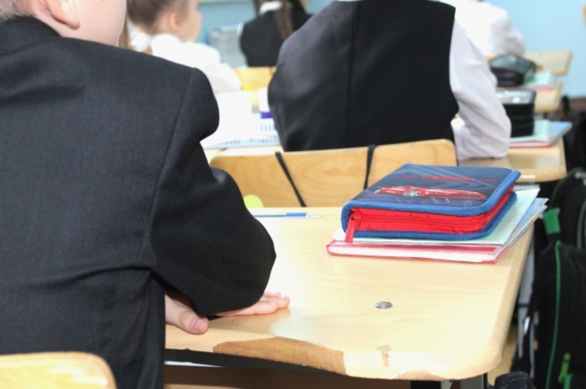    В школах начнут показывать документальное кино о бойцах СВО