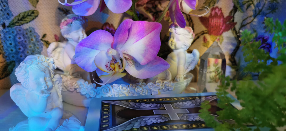 Свет Ангела для тебя