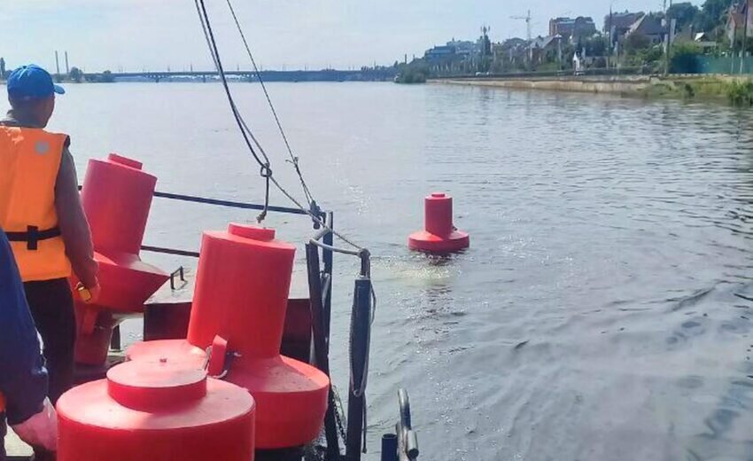    Фото департамента экологии и природных ресурсов Воронежской области.